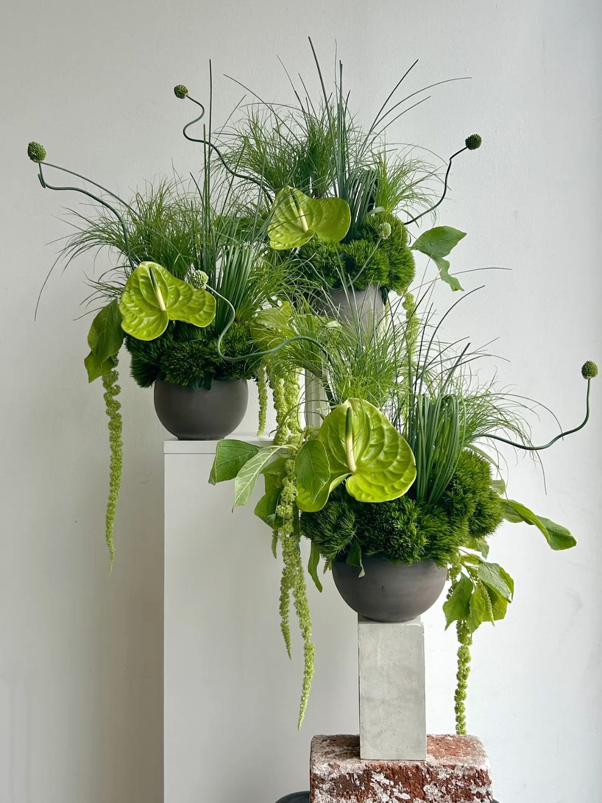 Finding the Right Flowers for Every Moment