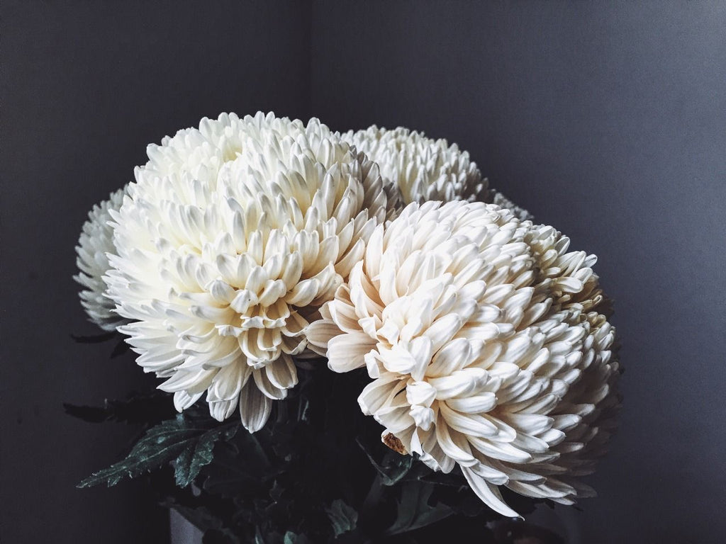 NEW NATURAL SMALL DRIED CHRYSANTHEMUM (MUMS) WHOLE FLOWERS--GREAT IN  POTPOURRI!