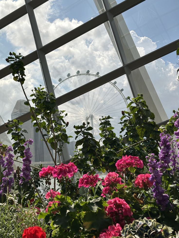 Neighbourhood Florals: Singapore in Stems