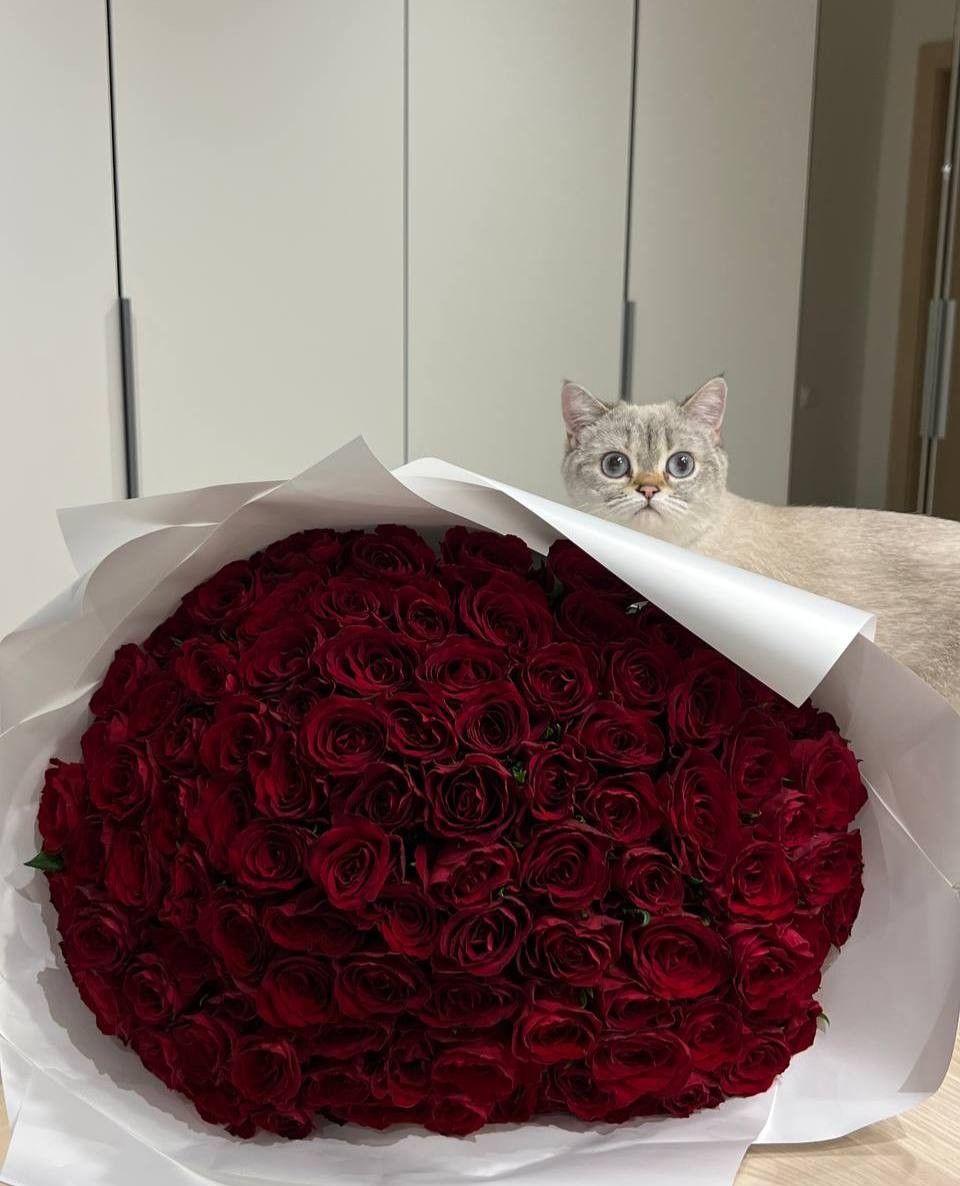 Pet-Friendly Flowers in Singapore: Safe Bouquets for Cats & Dogs | Expert Florist Guide