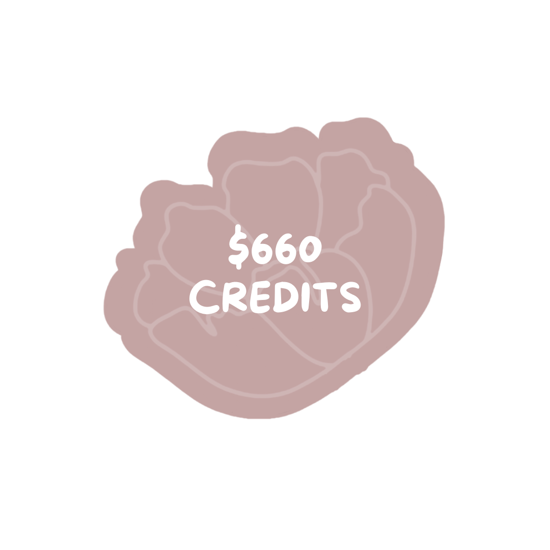 $660 Store Credit for $600