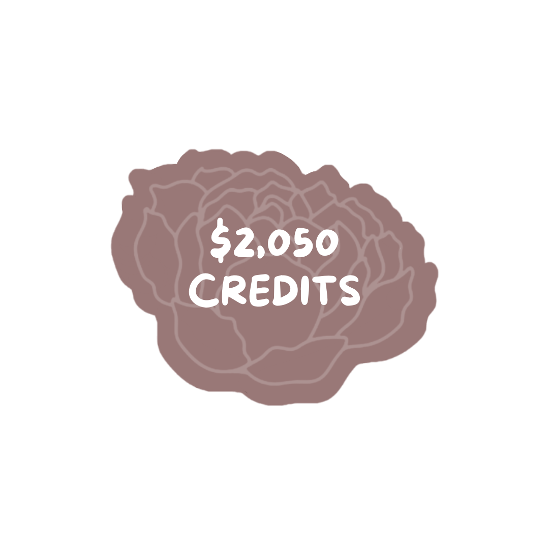 $2050 Store Credit for $1800
