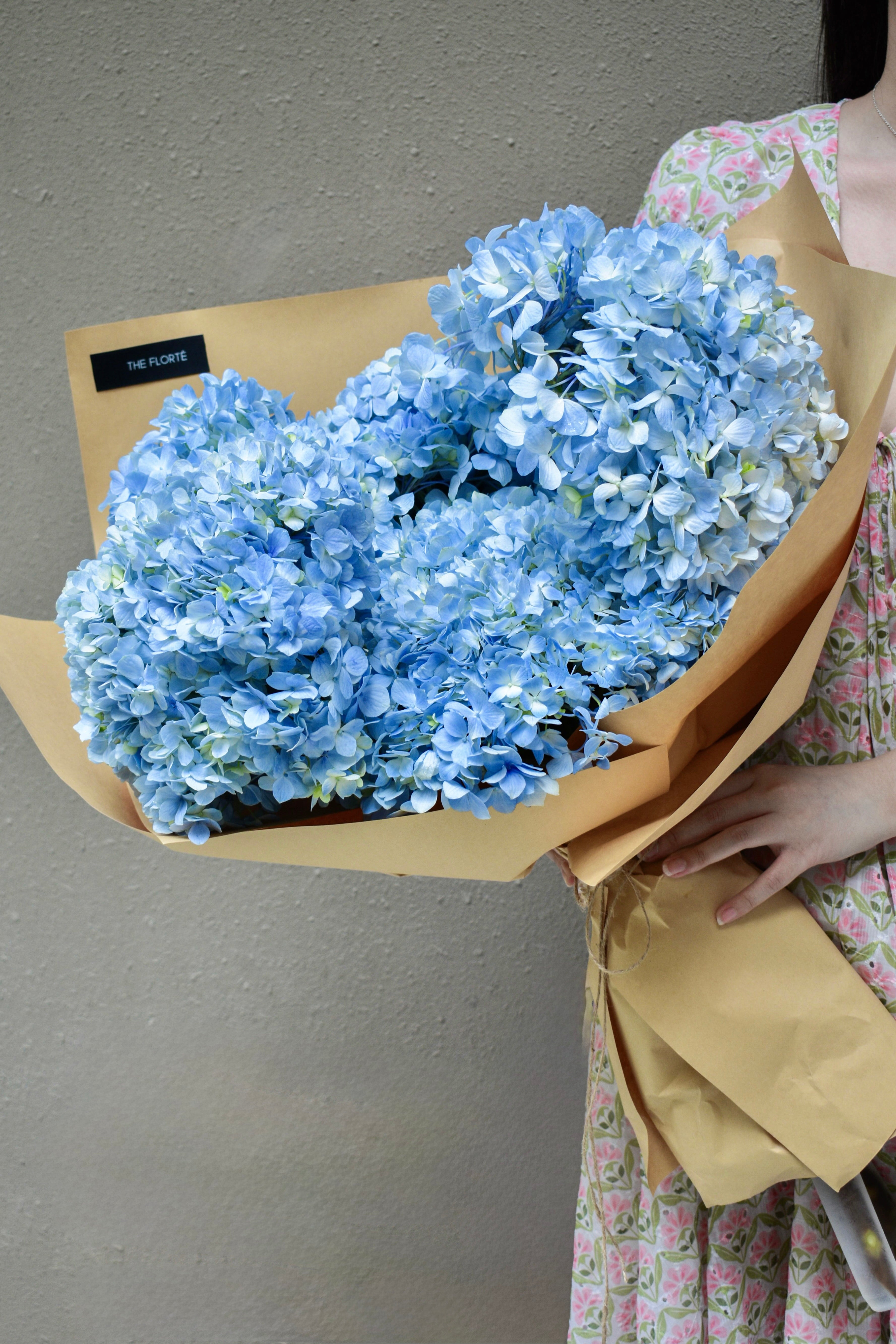 Hydrangea, Market Bundle