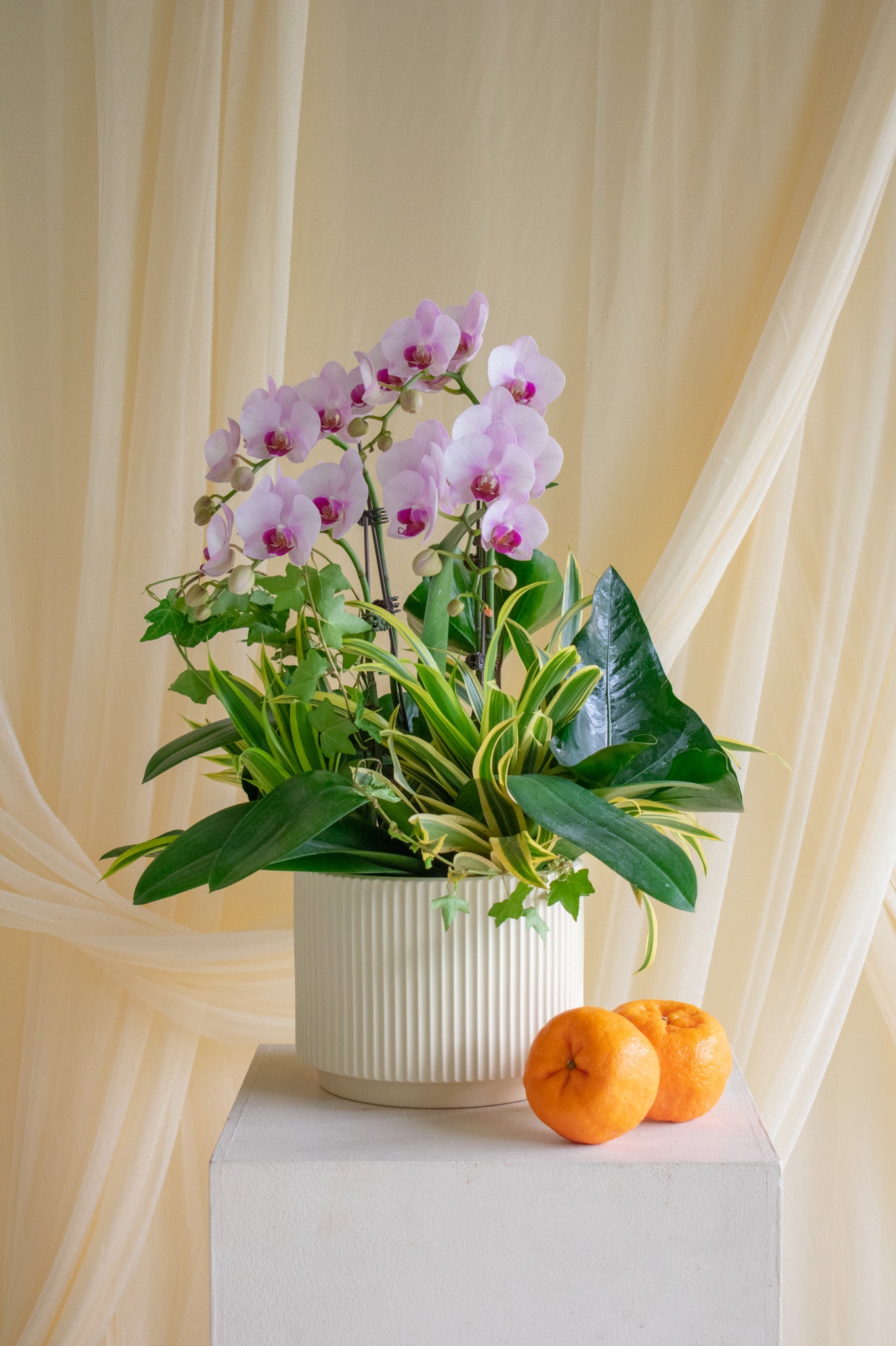 Radiant Orchids, Vase | CNY26