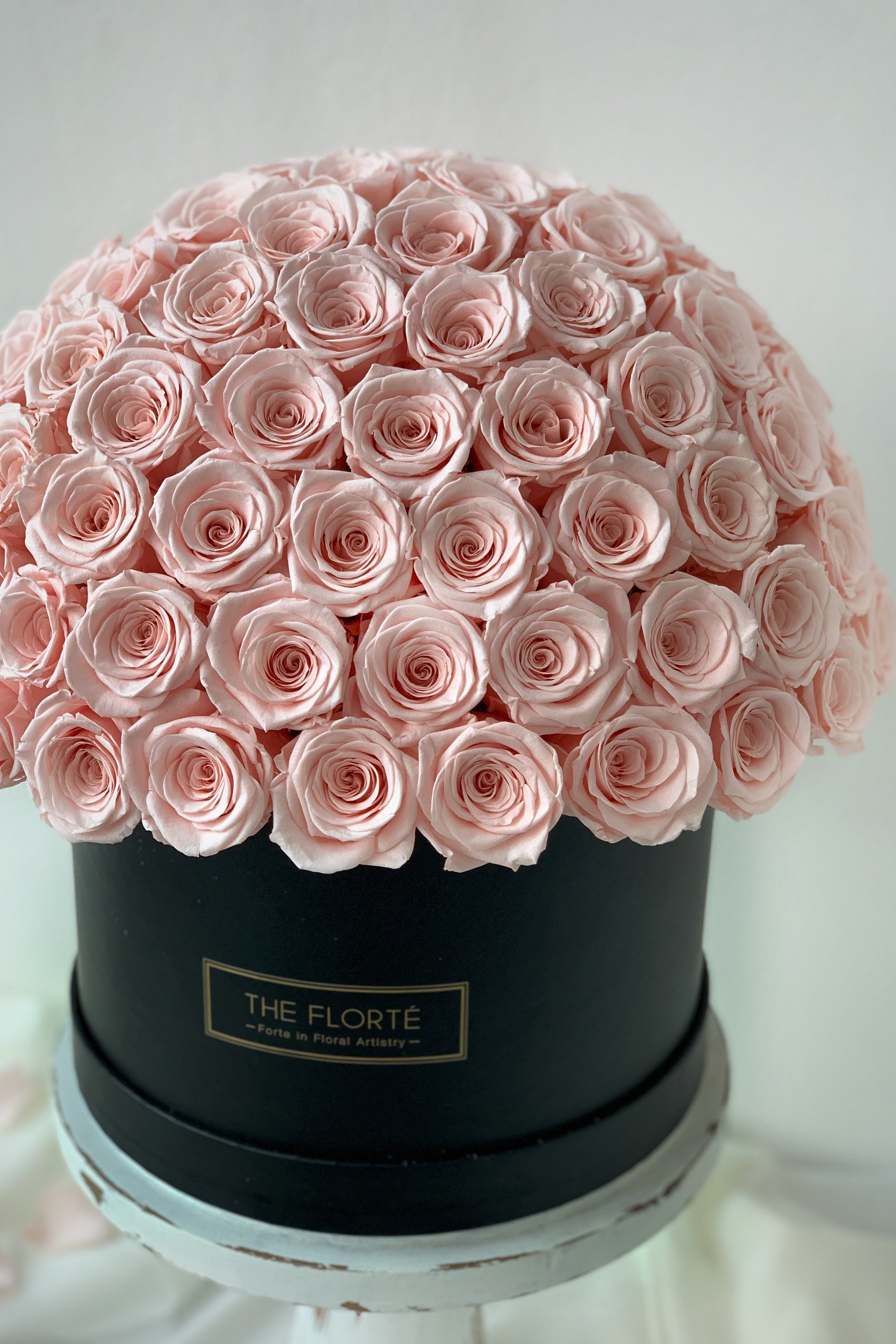 Eternity Rosabella, Dried & Preserved Bloom Box