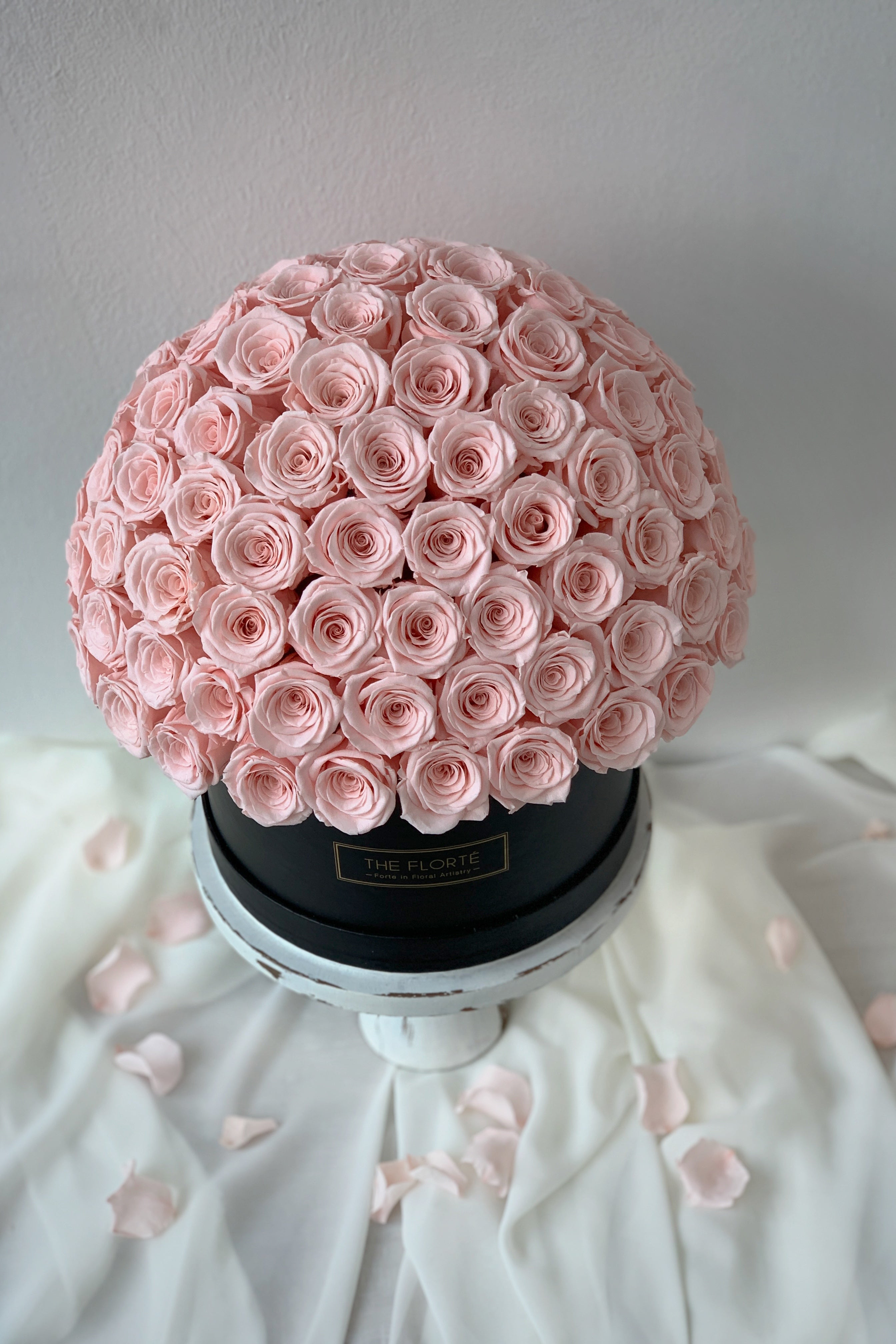 Eternity Rosabella, Dried & Preserved Bloom Box