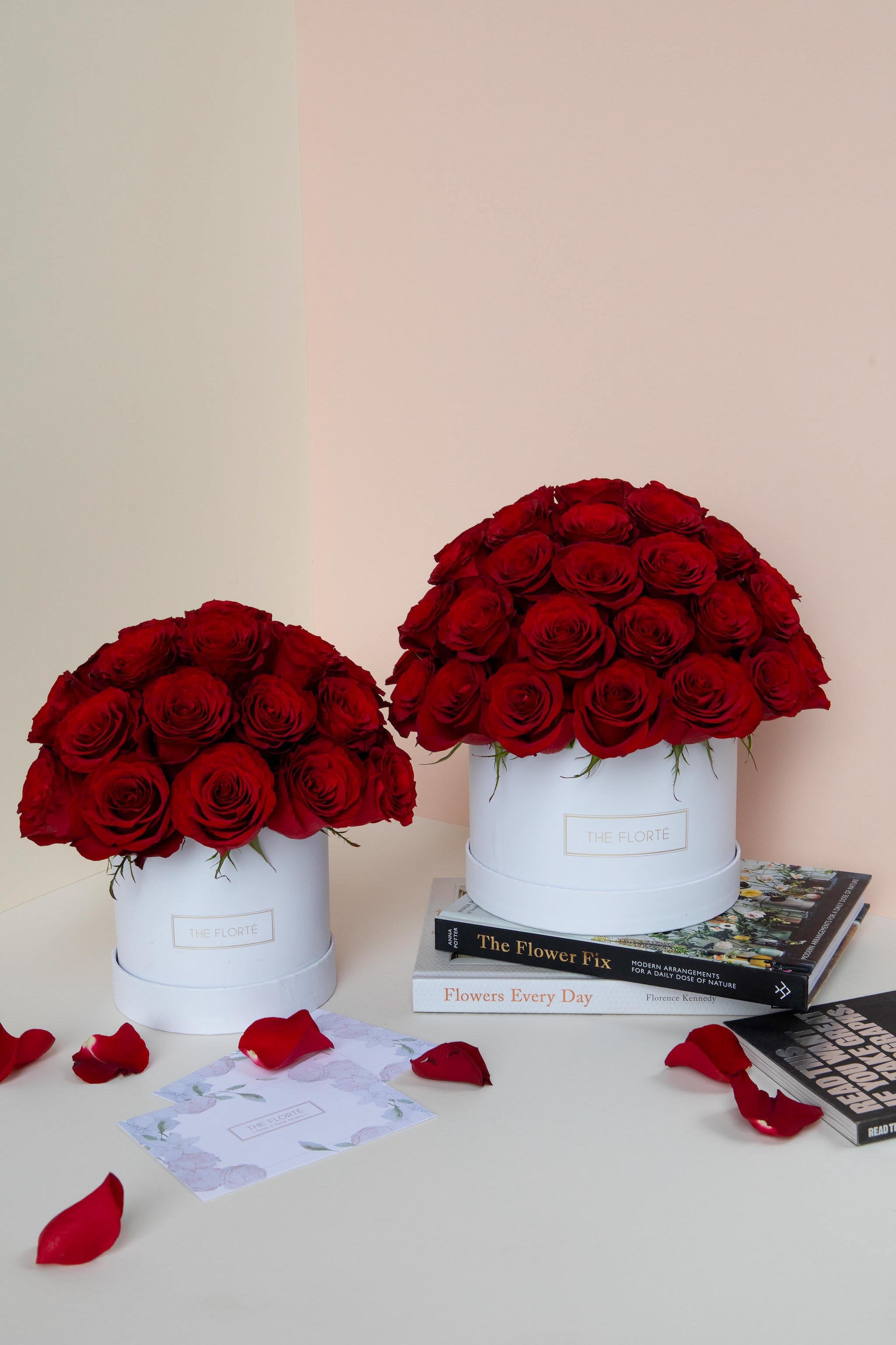 Red Rosabella, Bloom Box