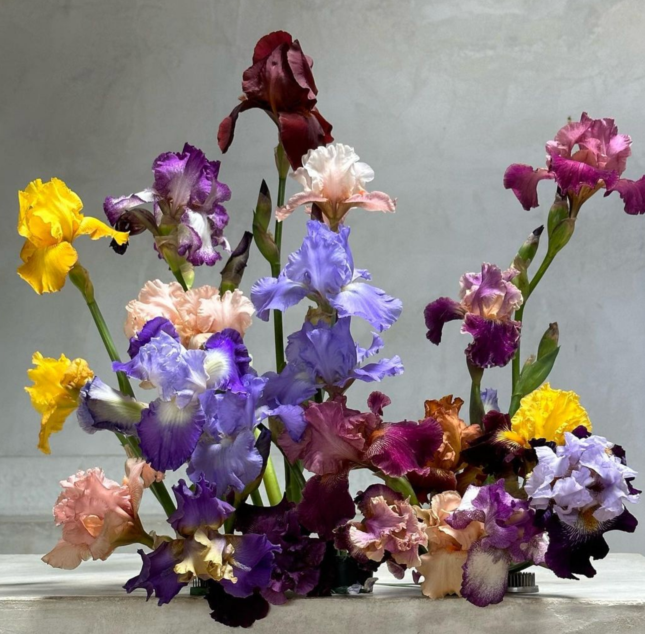 The Language of Flowers: What Your Blooms Are Saying