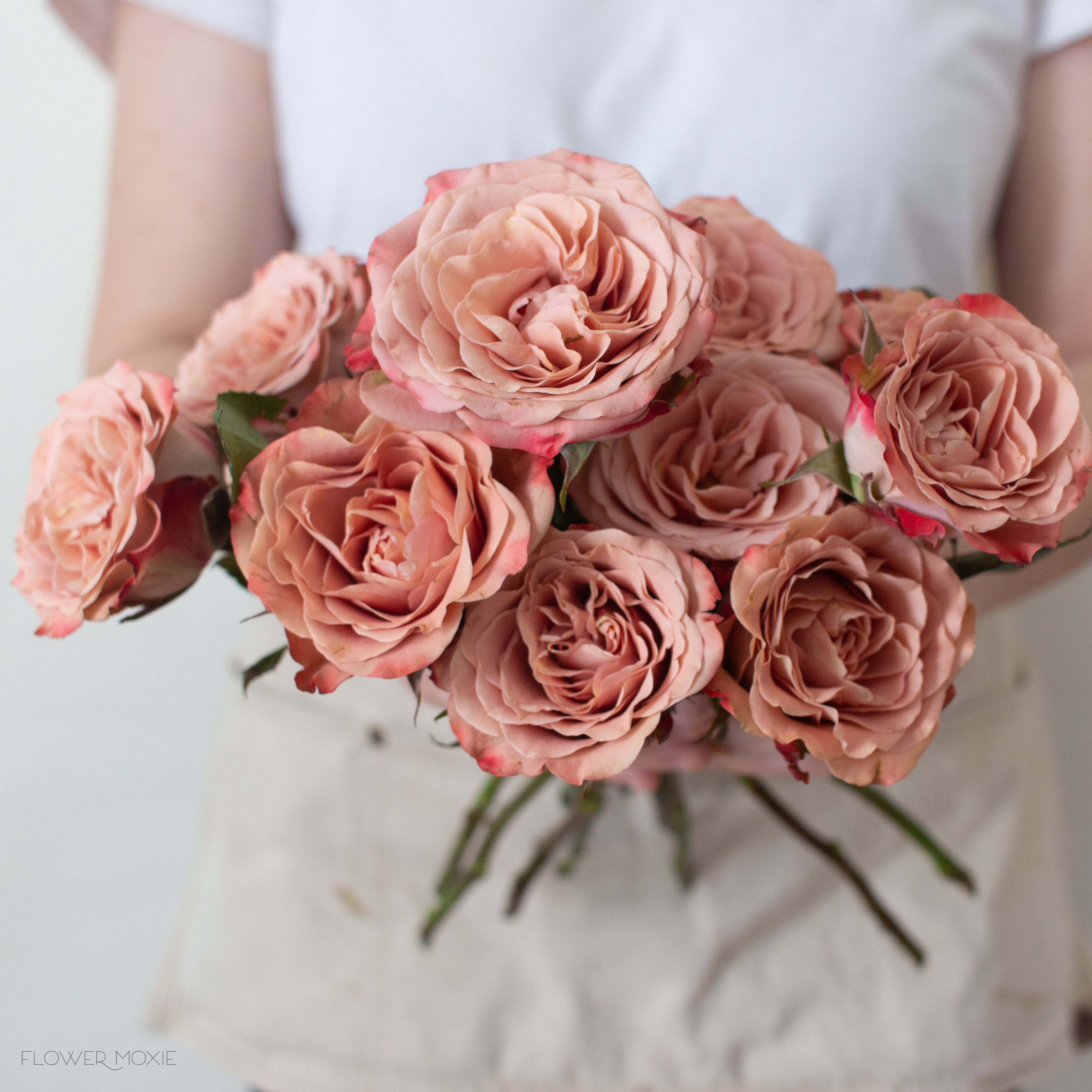 Café Crème Rosa, Bouquet