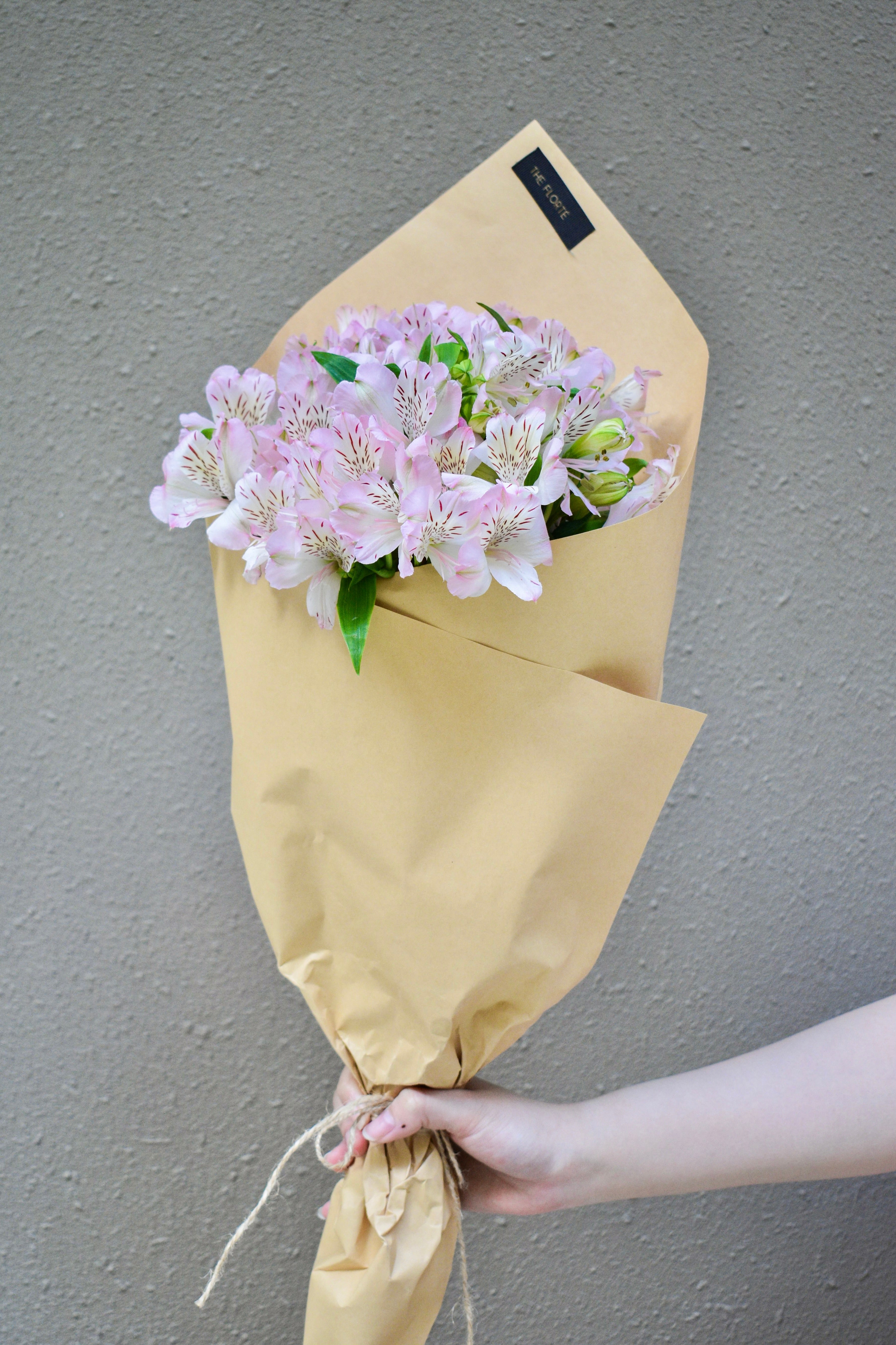 Alstroemeria, Market Bundle