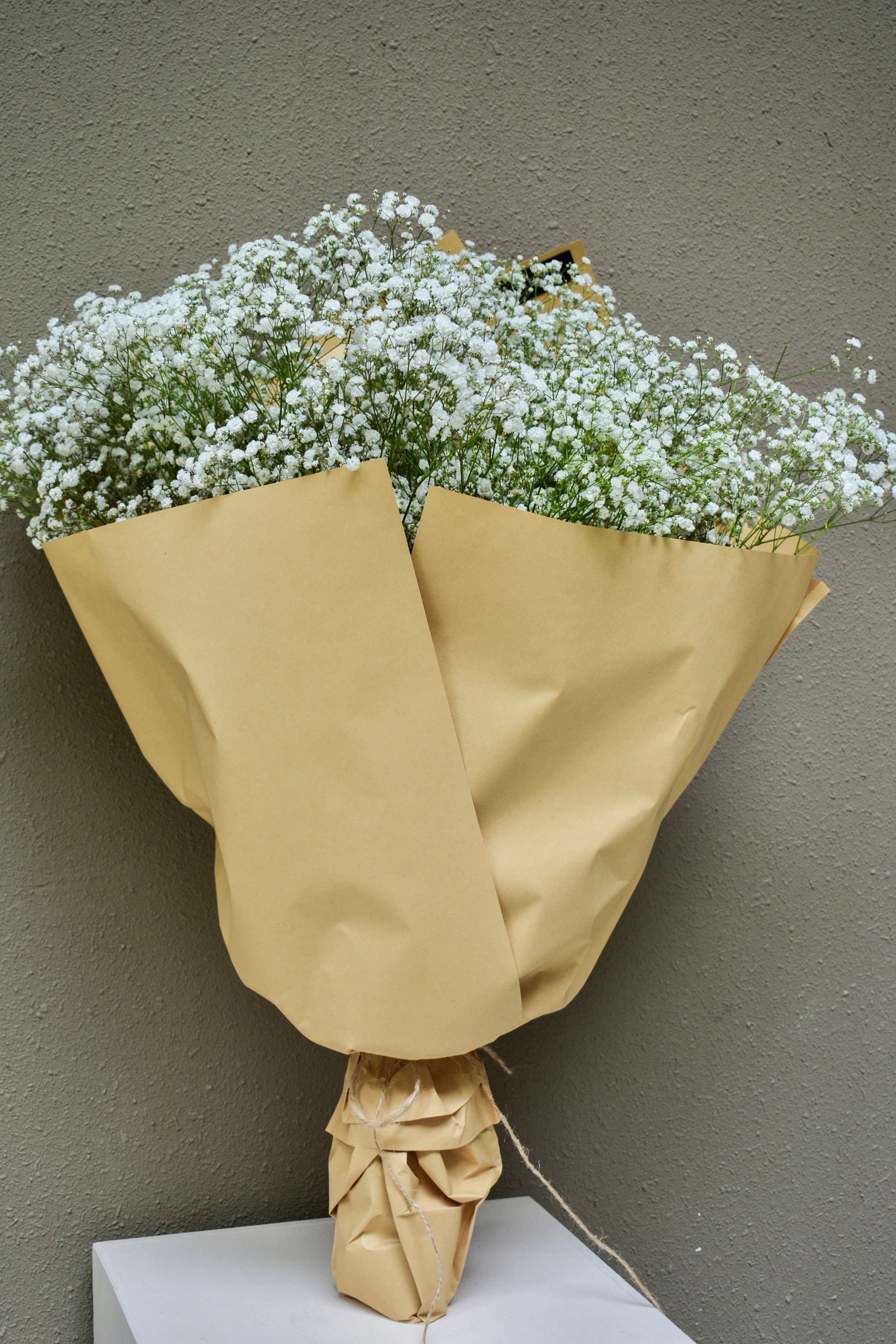 Baby's Breath, Market Bundle