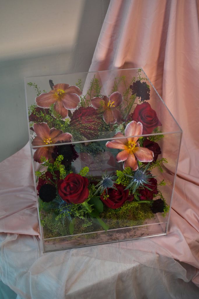 Jardin de Chocolat, Acrylic Bloom Box