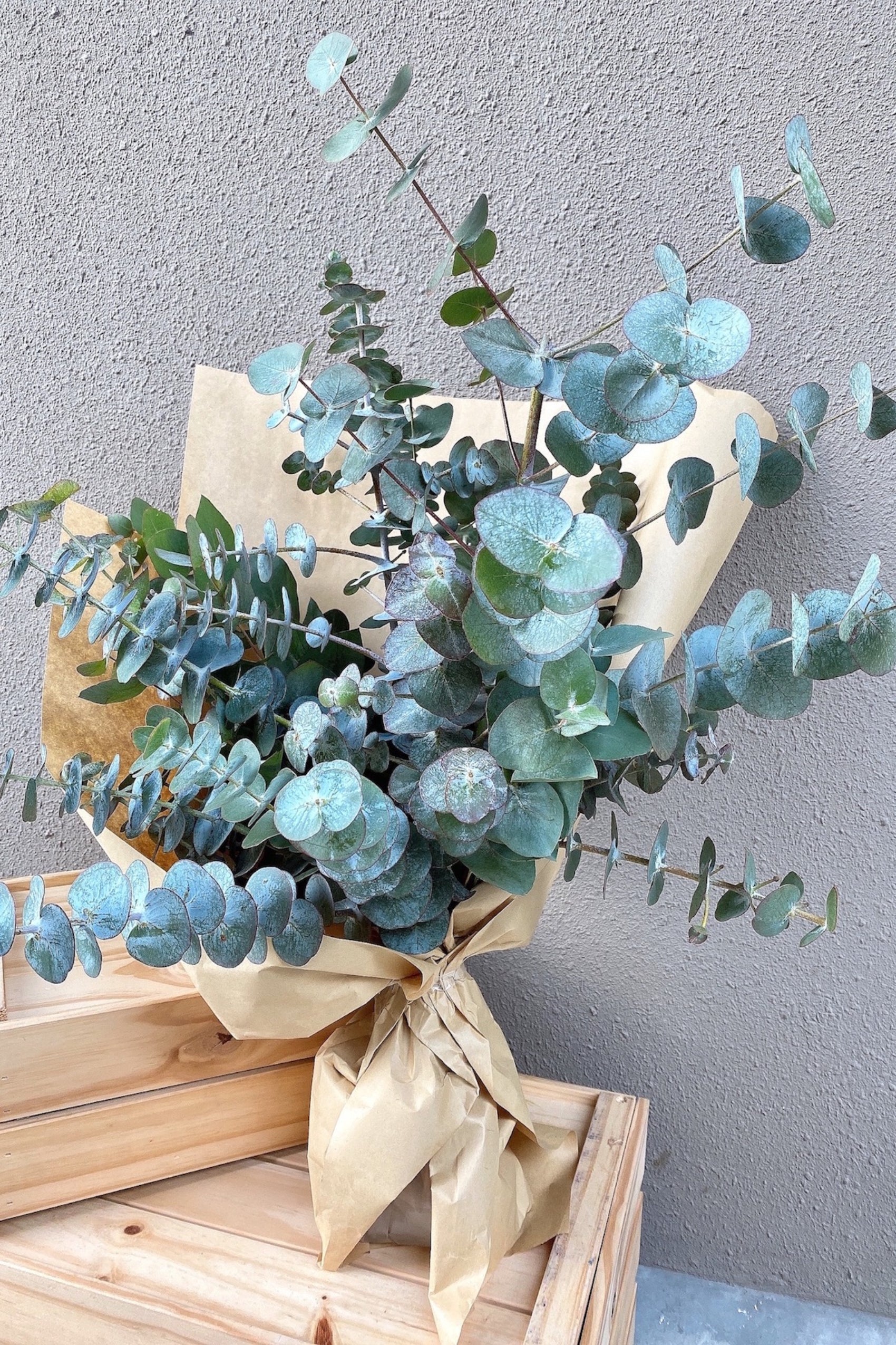 Eucalyptus Market Bundle 