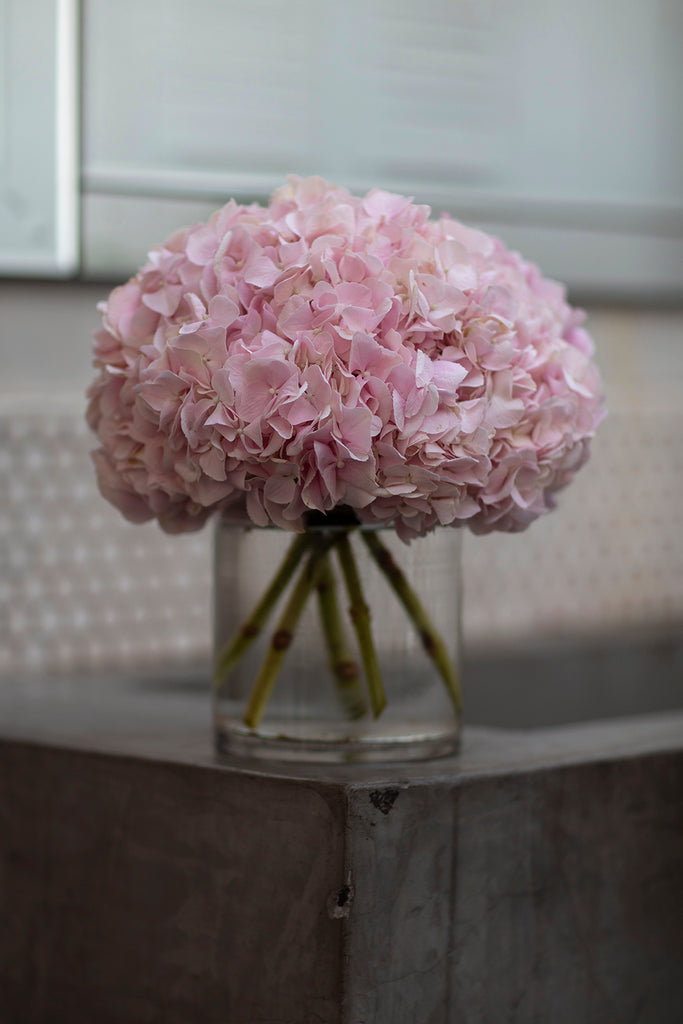 Vanity Hydrangeas, Table Vase