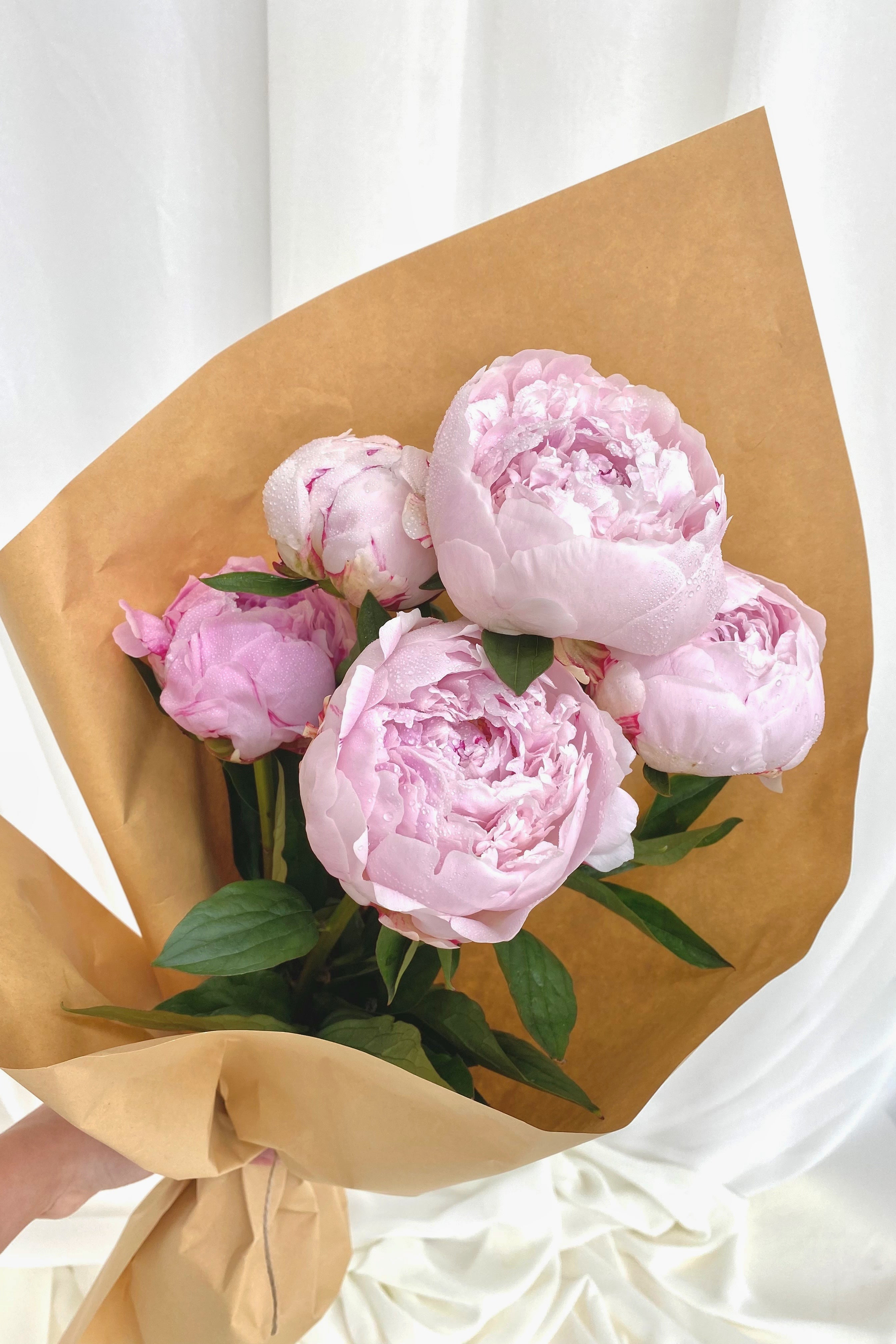 Peonies, Market Bundle