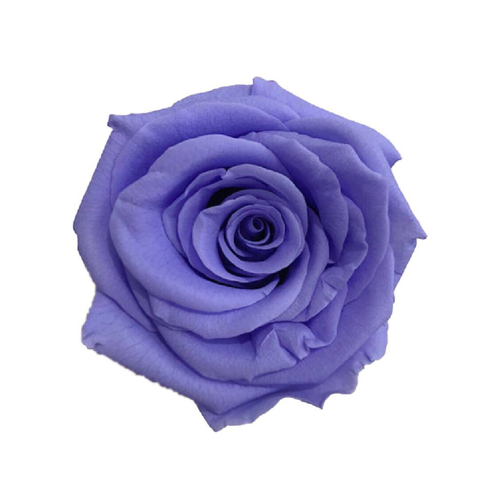 The Florté | Eternity Rosses Only, Square Bloom Box, 9 Roses, Red, White, Cream, Pink, Purple, Blue, Preserved Rose, Forever Roses, Everlasting Roses
