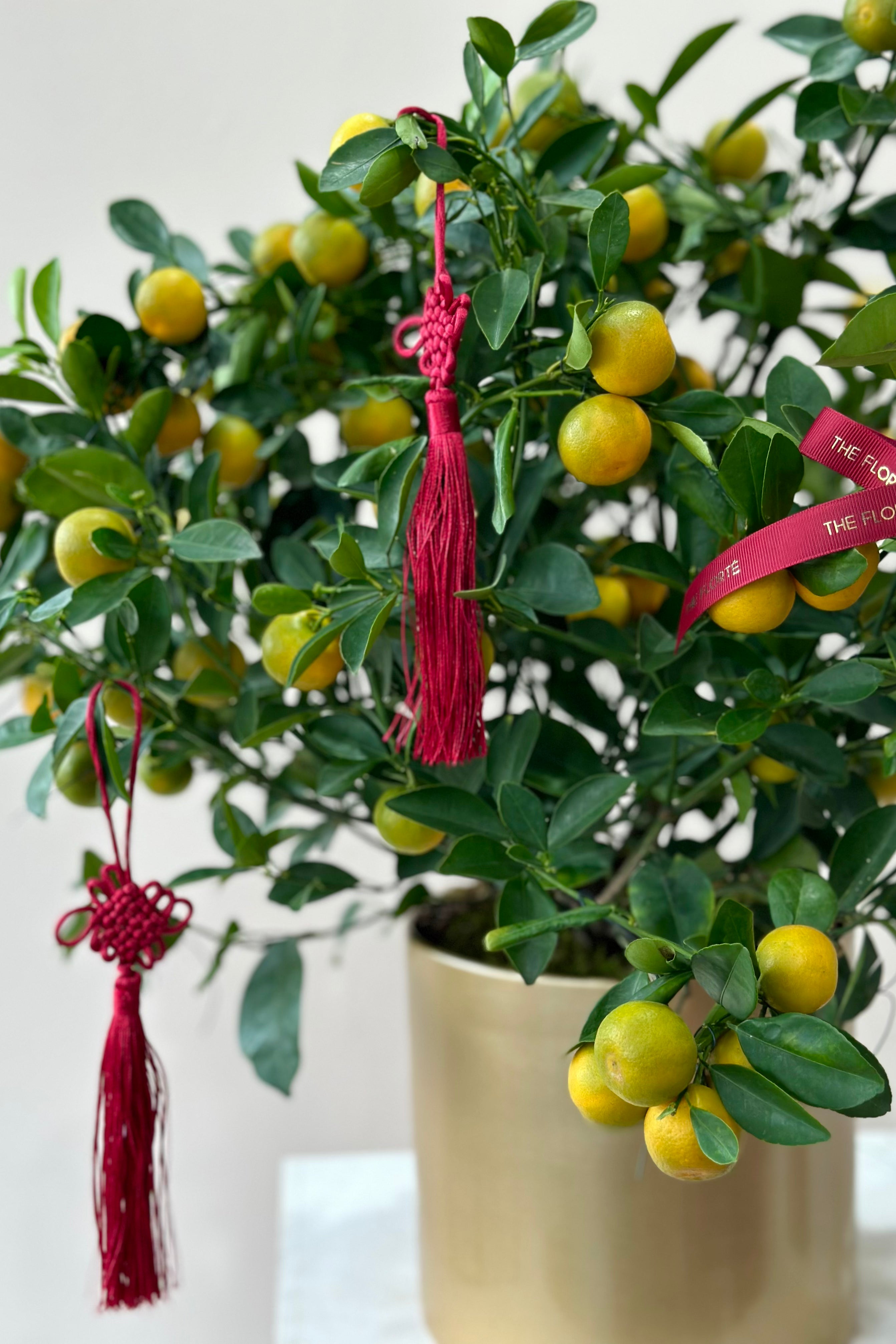 Golden Mandarins Tree, Table Vase/Bloom Box