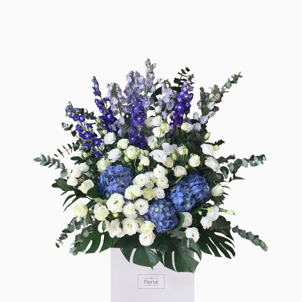The Florté Florte | Blue Royalty, Congratulatory Stand, Congratulations, Celebratory, Opening Flowers, Blue Hydrangeas, White Roses, Purple Delphinium, Floral Arrangement, Best Florist Singapore, Best Flowers